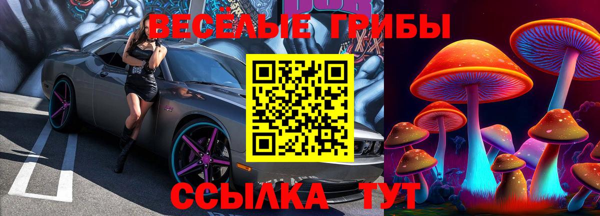 Галлюциногенные грибы мицелий  Вход с VPN  Чернушка  Псилоцибиновые грибы мухоморы 